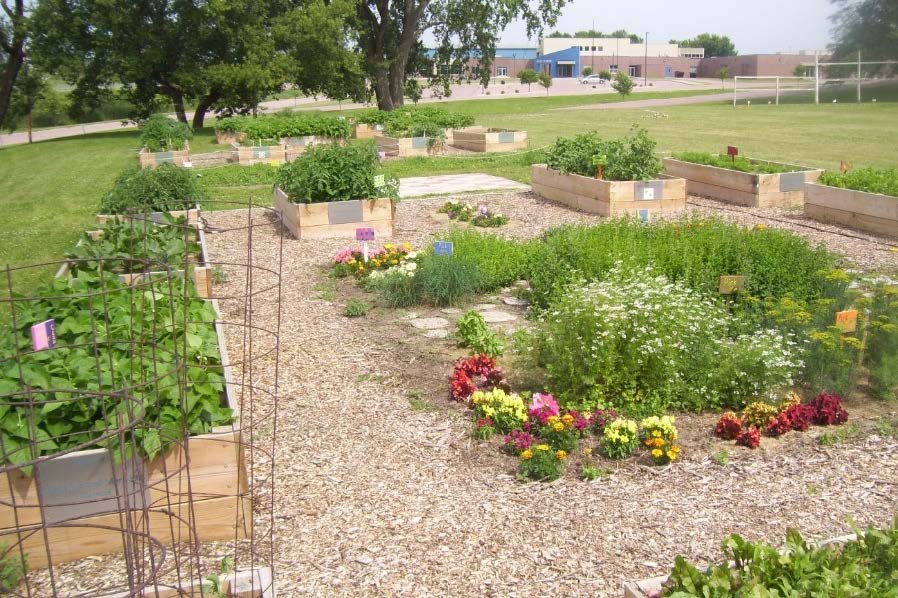 What is the Baltic Community Garden?